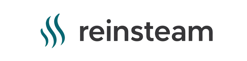 reinsteam